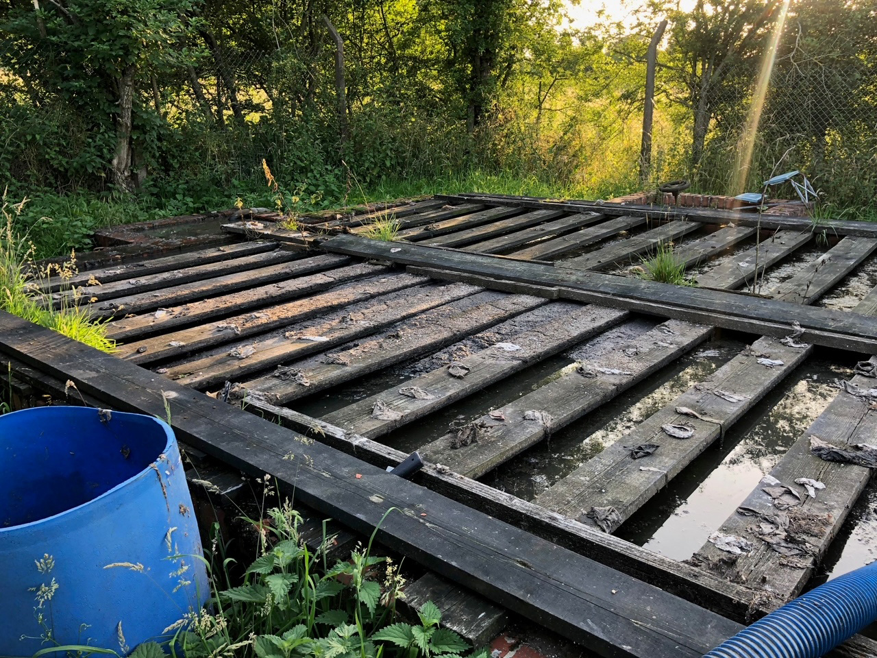 193 Can you use flushable wipes with a septic tank system?